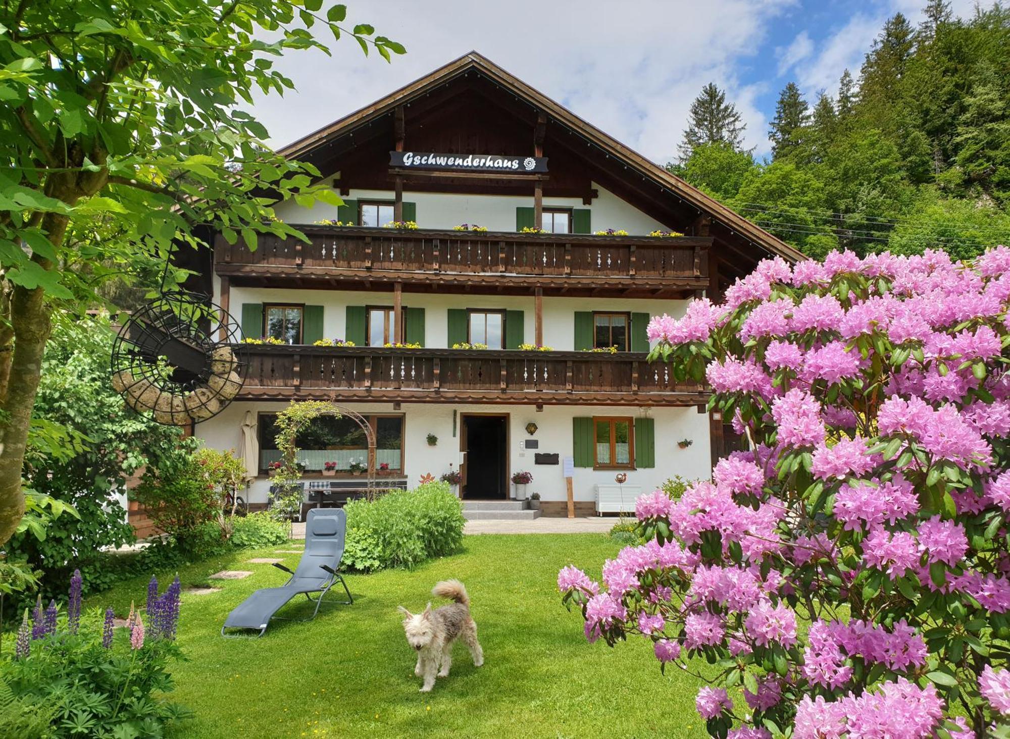 Apartment Gschwenderhaus *